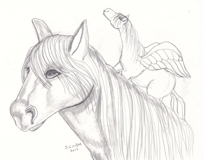 Pegasus by Sally Gilroy